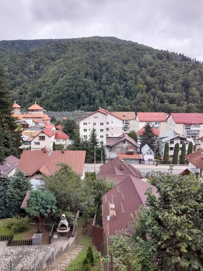Apartament Retro-Relax Sinaia Exterior photo